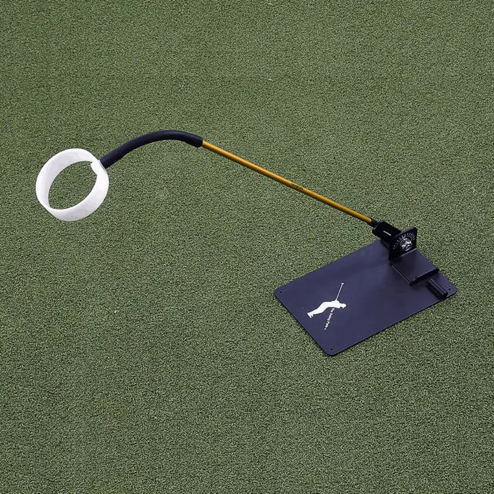 The Swing Eye