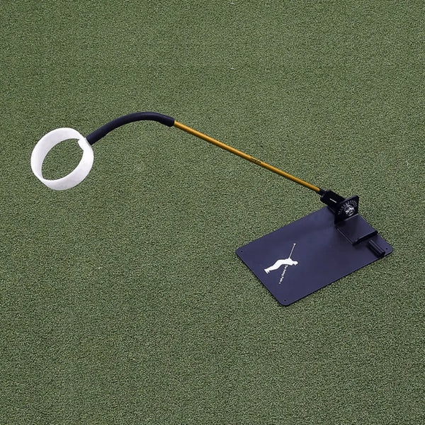 The Swing Eye