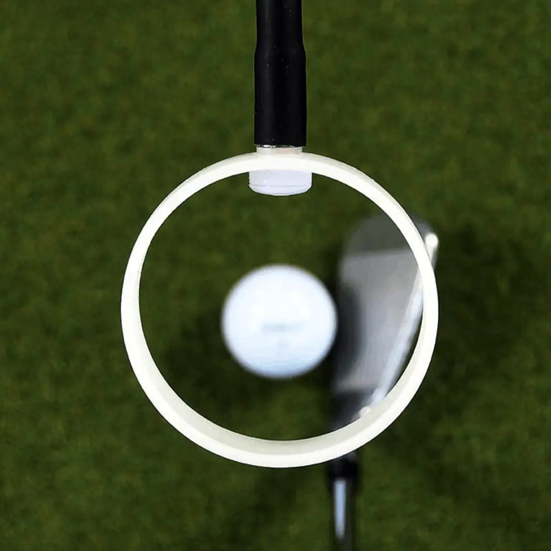 The Swing Eye
